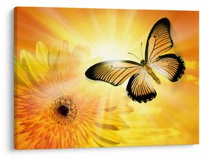 Tablou - Fluture galben cu flori (70x50 cm)