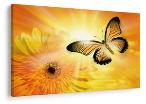 Tablou - Fluture galben cu flori (90x60 cm)