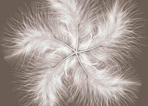Fototapet 3D, O floare din pene pe un fundal gri Art.05143