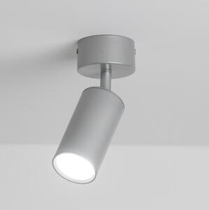 Spot pentru baie Brilagi SELE 1xGU10/30W/230V IP44 argintiu
