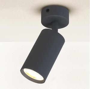 Spot Brilagi SELE 1xGU10/30W/230V antracit