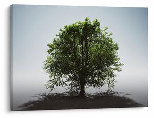 Tablou - Copacul singuratic (70x50 cm)