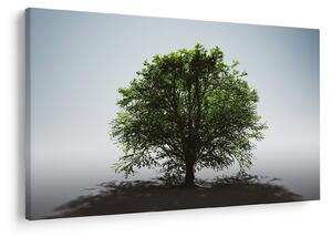 Tablou - Copacul singuratic (90x60 cm)