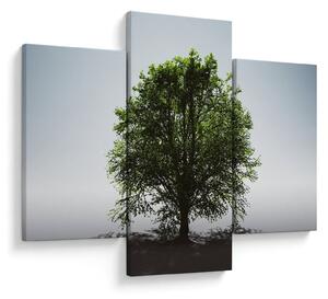 Tablou - Copacul singuratic (90x60 cm)