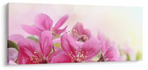 Tablou - Flori roz (120x50 cm)