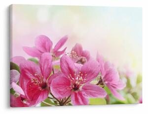 Tablou - Flori roz (70x50 cm)