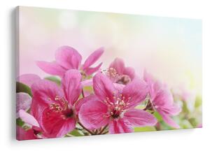 Tablou - Flori roz (90x60 cm)