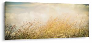 Tablou - Câmp toamna (120x50 cm)