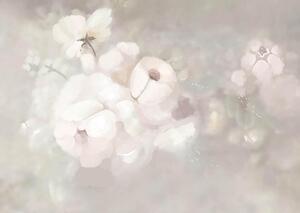 Fototapet 3D , Flori albe pe un fundal cetos Art.05094