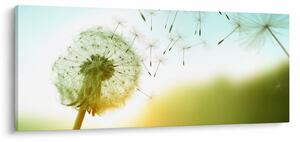 Tablou - Păpădia în vânt (120x50 cm)