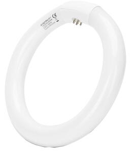 Tub LED fluorescent Aigostar T9 G24q-1/22W/230V 6500K
