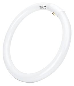 Tub fluorescent T9 G10q, 32 W, 230 V, 6500 K - Aigostar