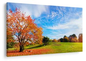 Tablou - Peisaj de toamnă (90x60 cm)