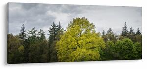 Tablou - Copac verde în câmp (120x50 cm)
