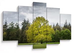 Tablou - Copac verde în câmp (150x105 cm)