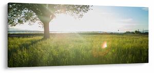Tablou - Copac în câmp (120x50 cm)