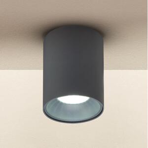 Spot Brilagi TRINE 1xGU10/30W/230V antracit