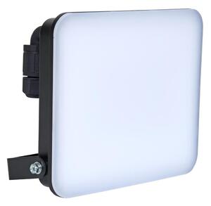Brilagi - Proiector LED ELARA PRO LED/50W/230V IP65