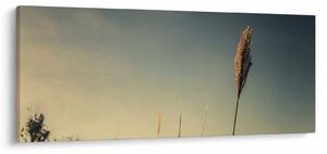 Tablou - Iarba (120x50 cm)