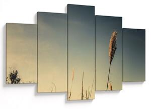Tablou - Iarba (150x105 cm)