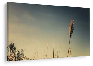 Tablou - Iarba (90x60 cm)