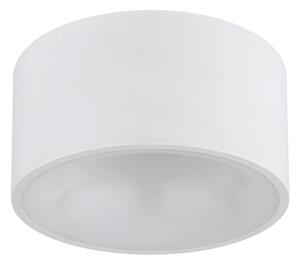 Globo 56964W - Plafonieră LED RAYMOND, 12W/230V, 3000K, diam. 15 cm, albă