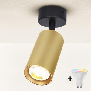 Brilagi - Spot LED dimabil SELE GOLDEN 1xGU10/4,8W/230V negru/auriu