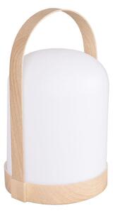Lampă de masă decorativă LED RGBW MINORKA LED/0,3W/4,5V 3xAA