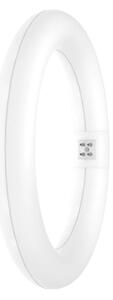 Tub LED fluorescent SUBSTITUBE T9 G10q/12W/230V 4000K d. 21,2 cm Osram
