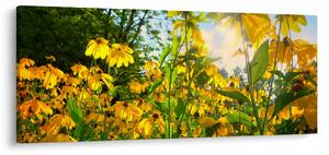 Tablou - Flori galbene (120x50 cm)