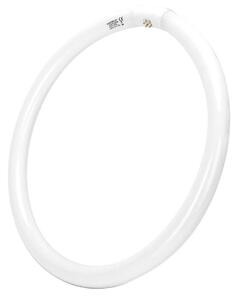 Tub fluorescent T9 G10q/40W/230V 6500K - Aigostar