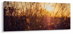 Tablou - Câmp la apus de soare (120x50 cm)