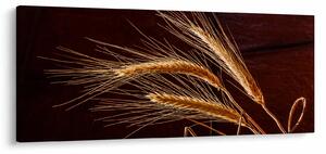 Tablou - Spic în prim plan (120x50 cm)