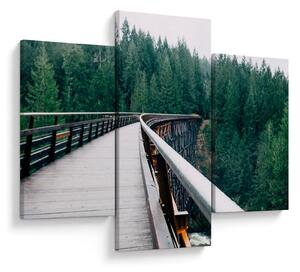 Tablou - Pod spre vârfurile copacilor (90x60 cm)