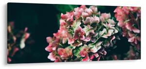 Tablou - Hortensie (120x50 cm)