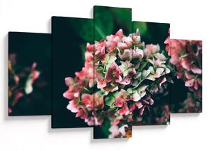 Tablou - Hortensie (150x105 cm)