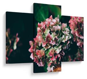 Tablou - Hortensie (90x60 cm)