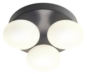Redo 01-4308 - Plafonieră LED pentru baie OVUM 3xLED/5W/230V IP44 neagră