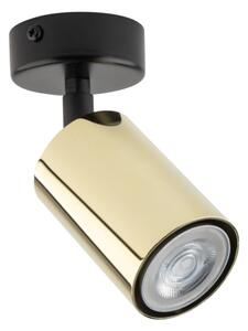 Corp de iluminat tip spot ZOOM 1xGU10/10W/230V auriu/negru