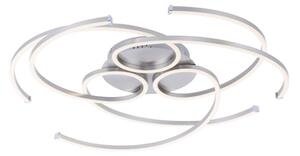 Paul Neuhaus 8165-55 - LED Plafonieră dimmabilă DANILO 3xLED/12W/230V