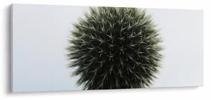 Tablou - Sfere de flori (120x50 cm)