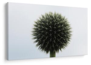 Tablou - Sfere de flori (90x60 cm)