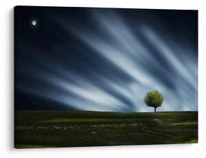 Tablou -Aurora boreală (70x50 cm)