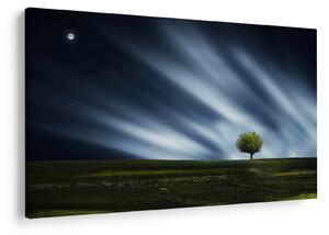Tablou -Aurora boreală (90x60 cm)