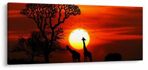 Tablou - Siluete animalelor la apus de soare (120x50 cm)