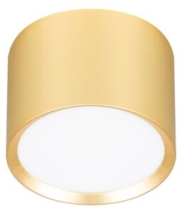 Brilagi - LED Spot SMOOTH 1xGX53/15W/230V auriu