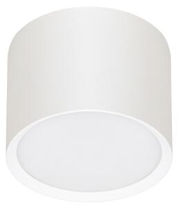 Brilagi - LED Spot SMOOTH 1xGX53/15W/230V alb