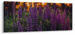 Tablou - Flori de lupin (120x50 cm)