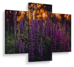 Tablou - Flori de lupin (90x60 cm)