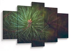 Tablou - Pin (150x105 cm)